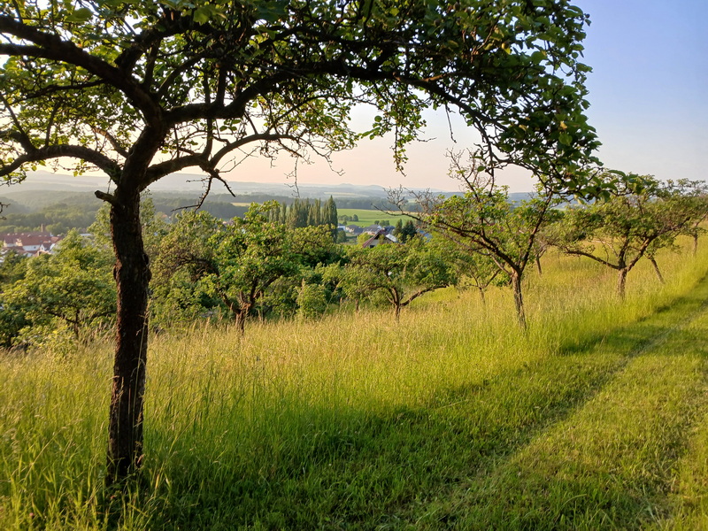 25 06 12 Thalwenden01