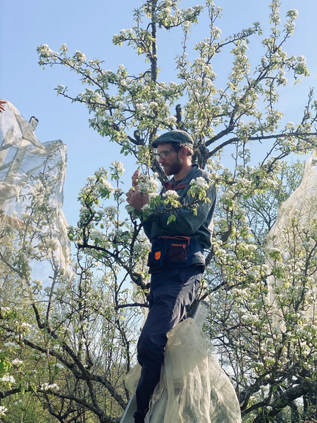 25 04 15 Waldhof Kassel 01